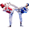Experienced Martial Arts Coaching Team