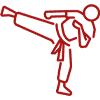 Champion-Building Martial Arts Programs